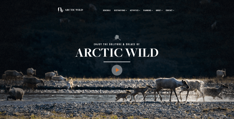 Arctic-Wild-min