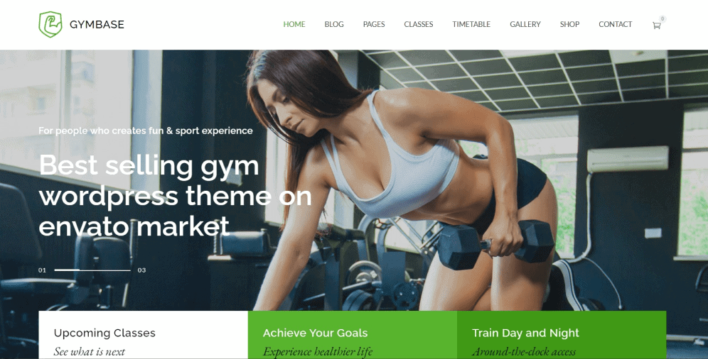 Fitness website design best practices & solution