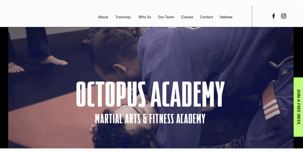 Octopus_Academy_Ester_Digital