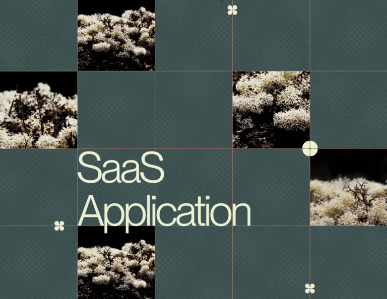 How_to_Design_a_SaaS_Application_insta_Blog_Preview
