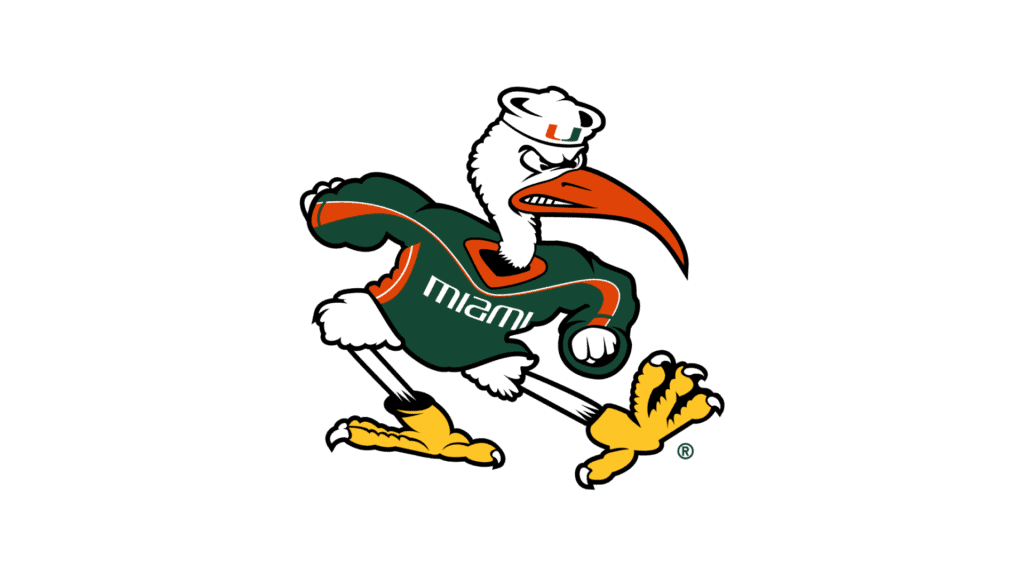 Miami Hurricanes Ester Digital