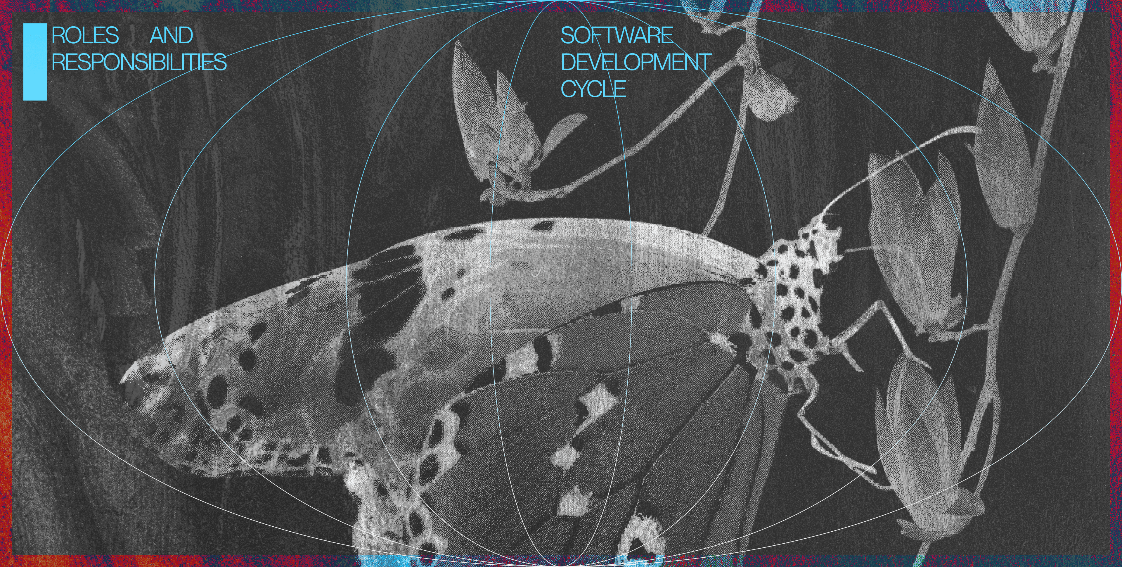 Roles_and_Responsibilities_in_the_Software_Development_Cycle_Ester_Digital