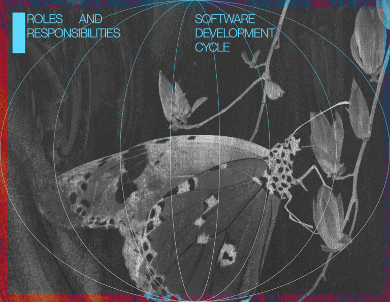 Roles_and_Responsibilities_in_the_Software_Development_Cycle_Preview_Ester_Digital