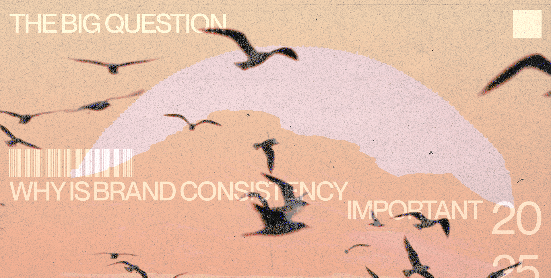 The Big Question Why is Brand Consistency Important Ester Digital
