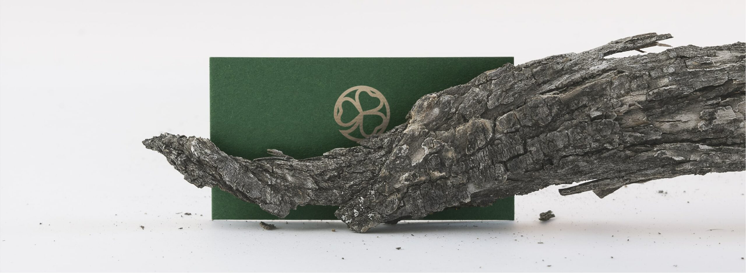 Irish Horizons, Designed and Developed by Ester Digital