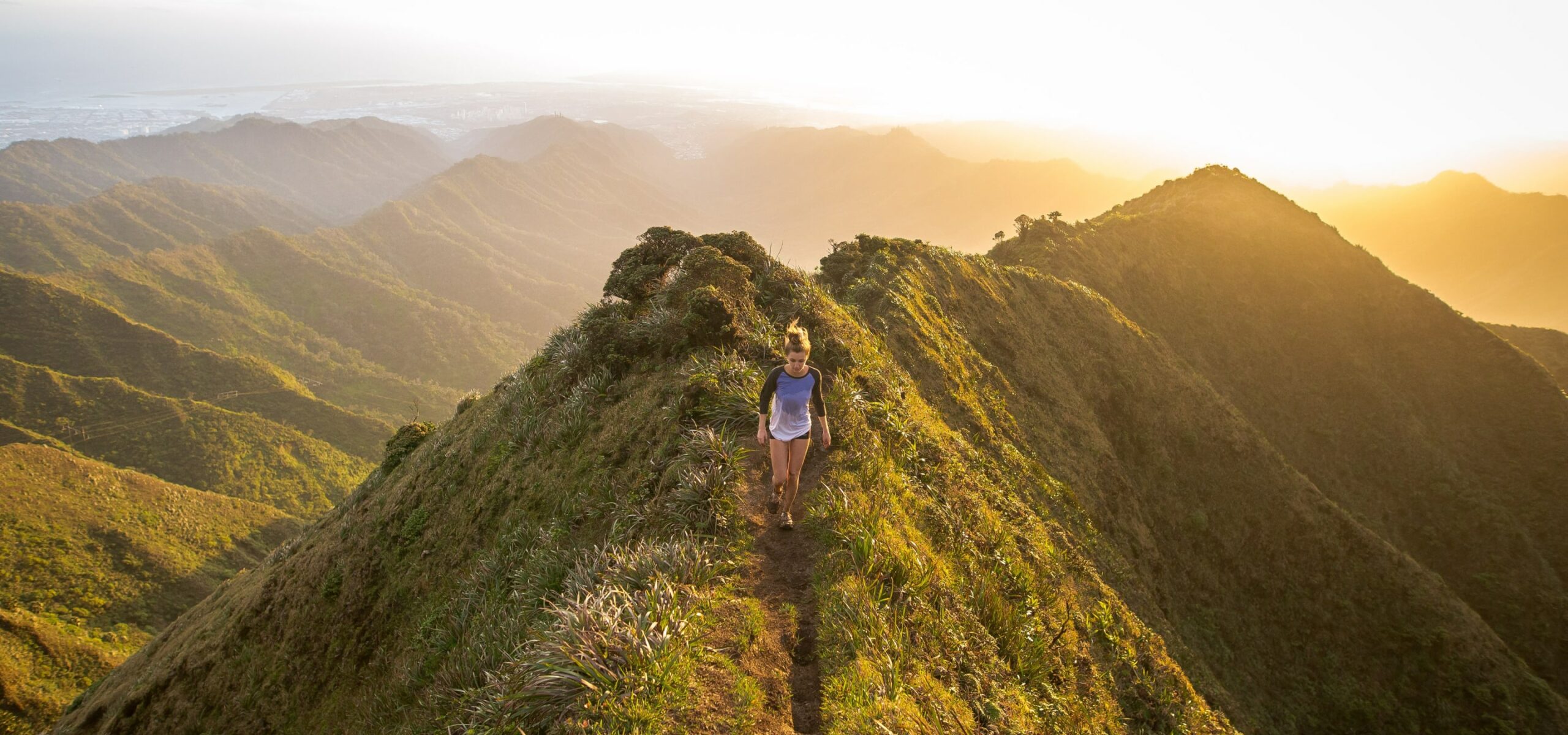 Tour Partner Group, Designed and Developed by Ester Digital