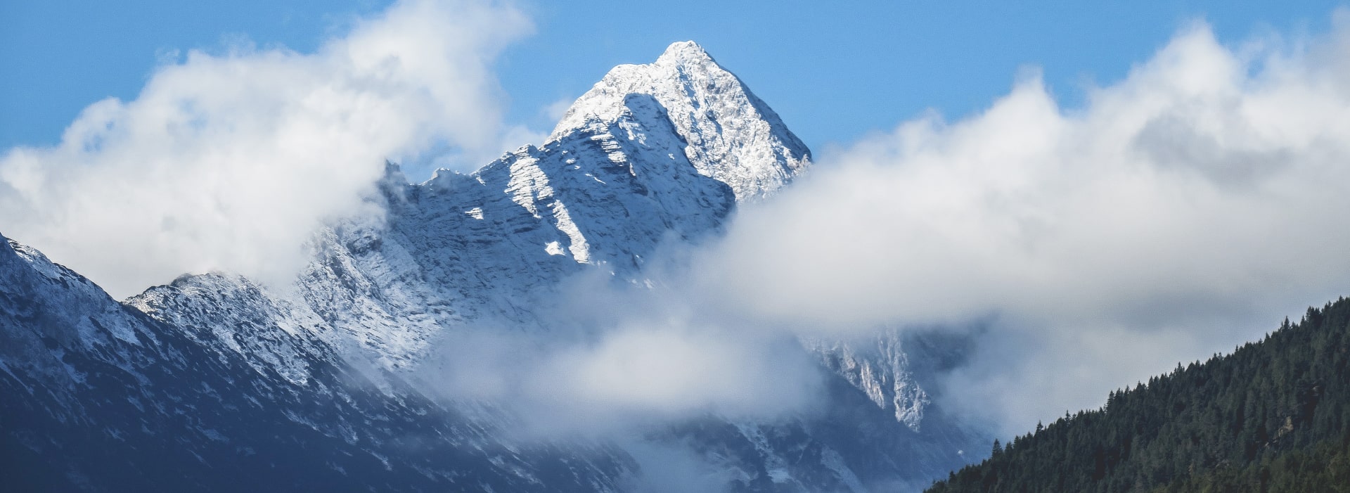 Tour Partner Group, Designed and Developed by Ester Digital