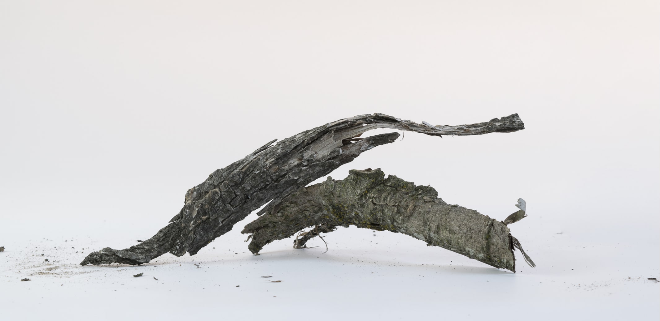 Irish Horizons, Designed and Developed by Ester Digital