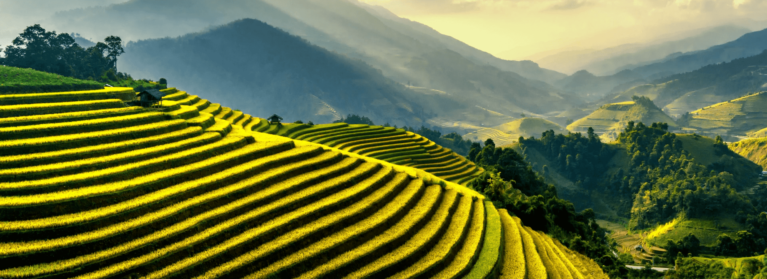 Tryppaway, Designed and Developed by Ester Digital