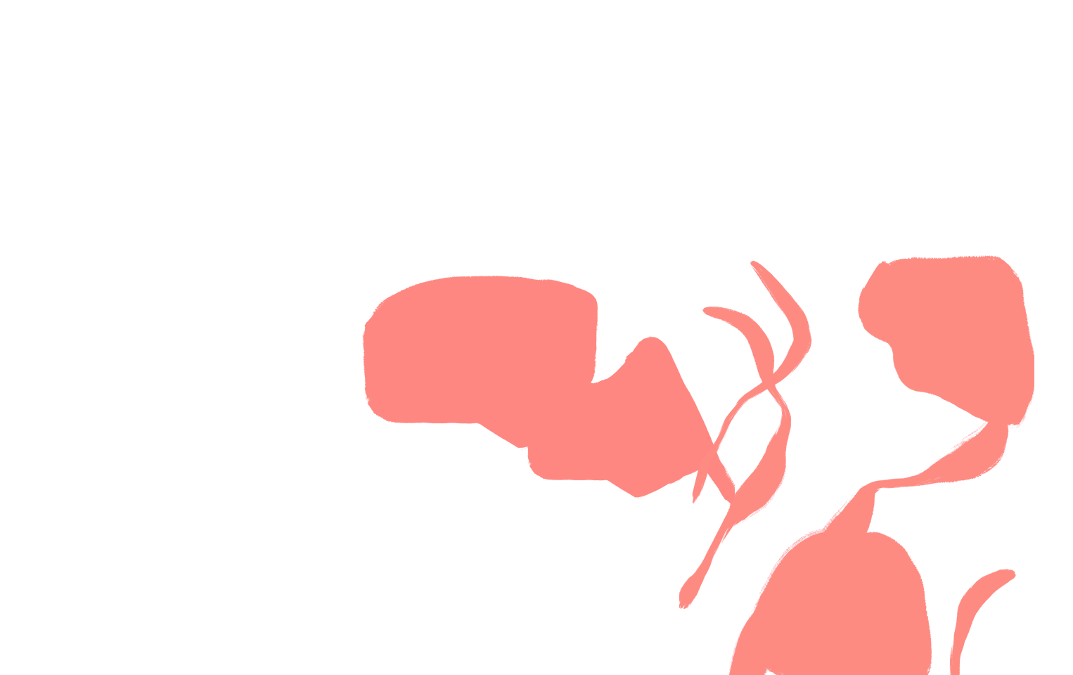 Magento website design services -photo banner