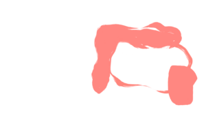 Brand Design Agency New York - photo Ester Digital