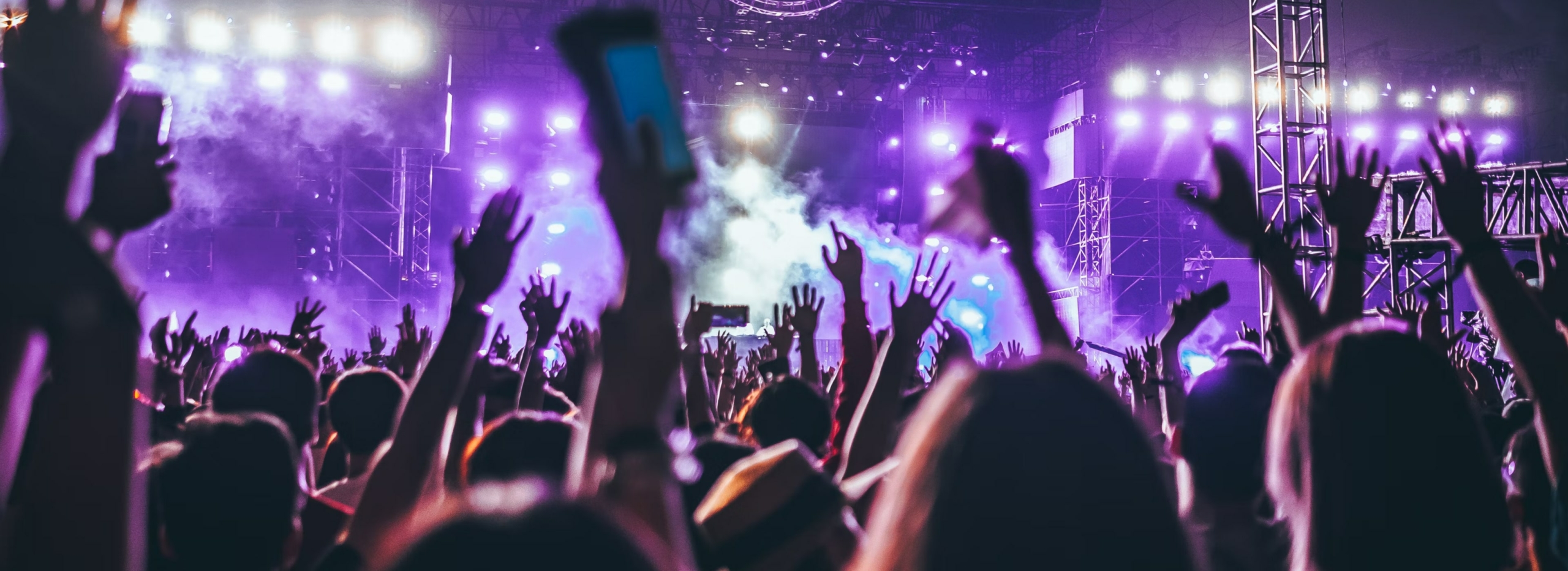 RSVPify, Designed and Developed by Ester Digital