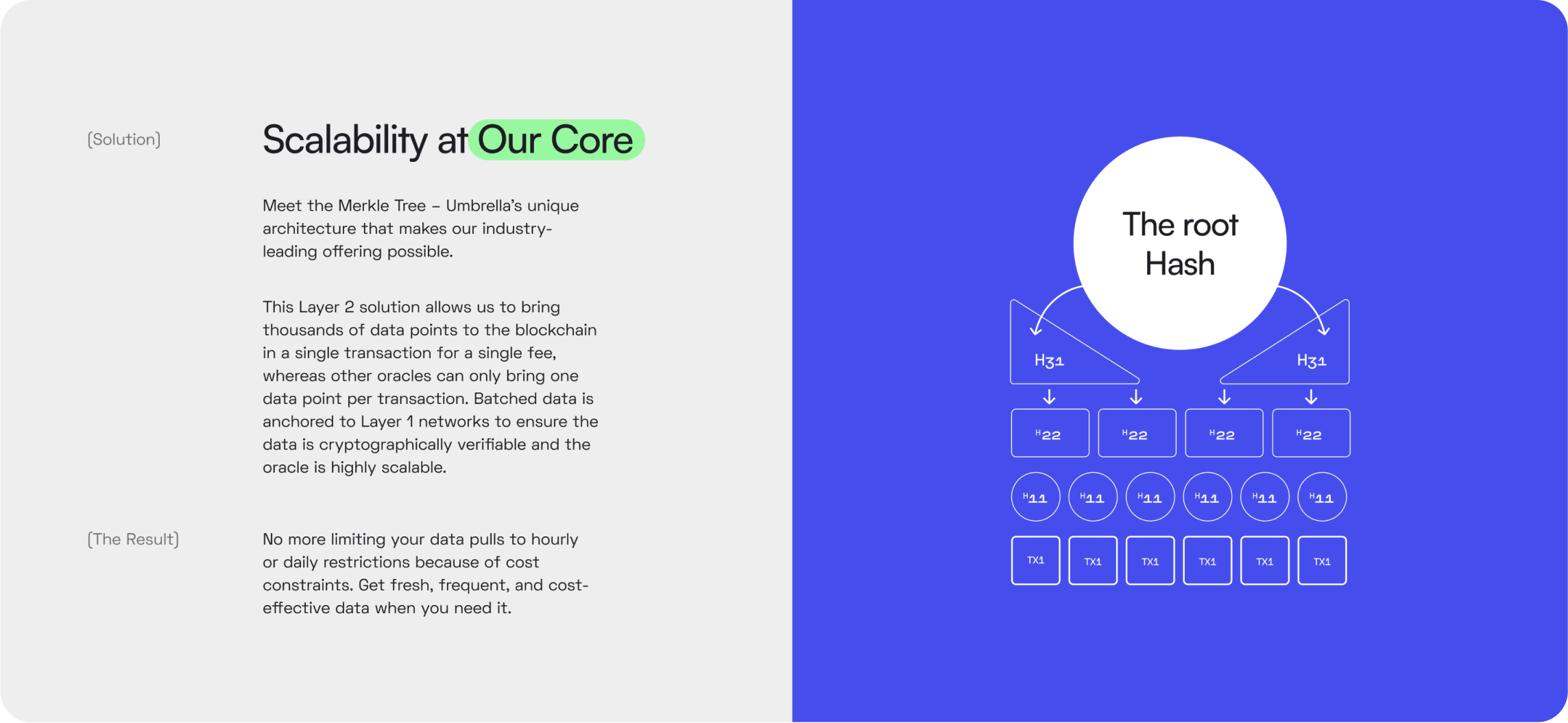 Umbrella, Designed and Developed by Ester Digital